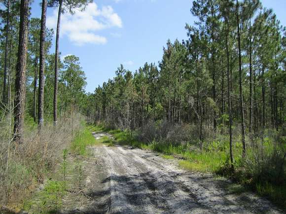 109.1 Acres of Recreational Land for Sale in Lake Butler, Florida