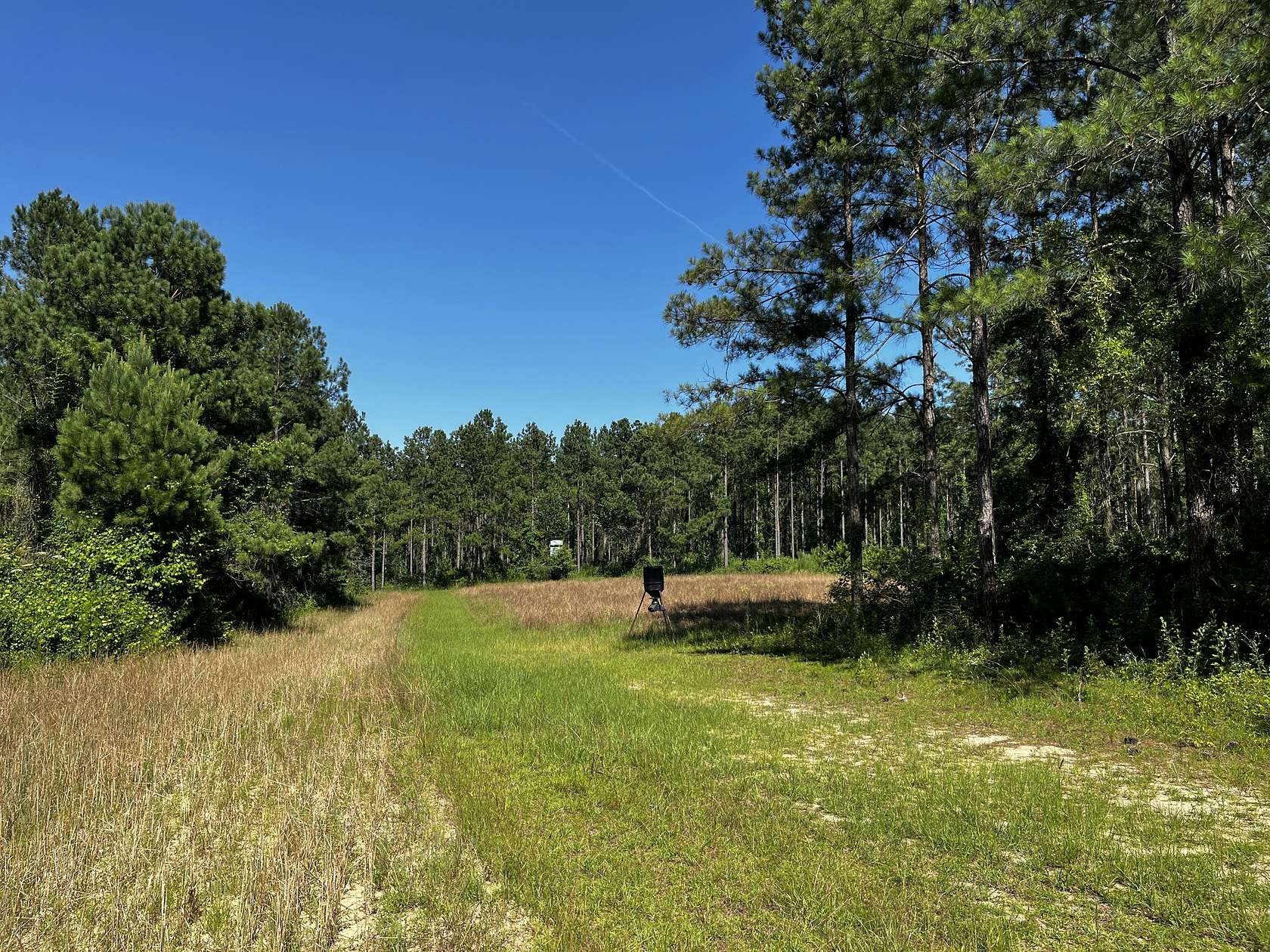 433.8 Acres of Recreational Land & Farm for Sale in Bainbridge, Georgia