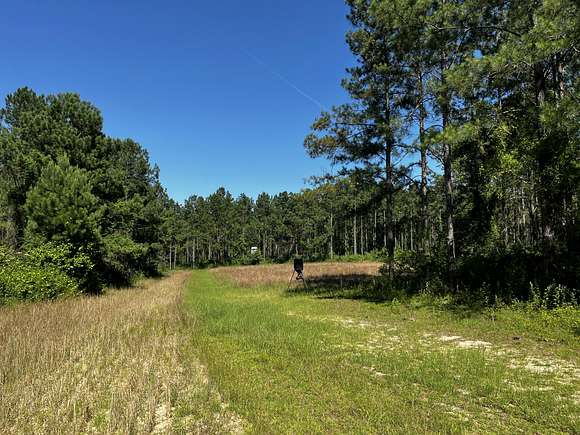 434 Acres of Recreational Land for Sale in Bainbridge, Georgia