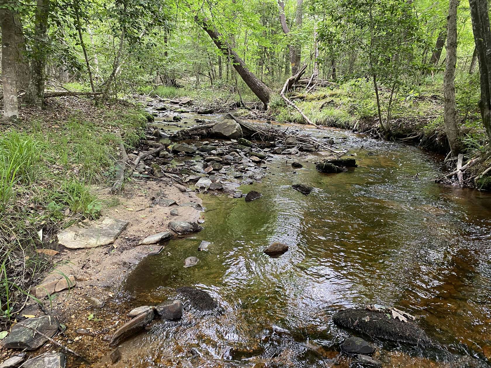 136 Acres of Recreational Land for Sale in Kershaw, South Carolina