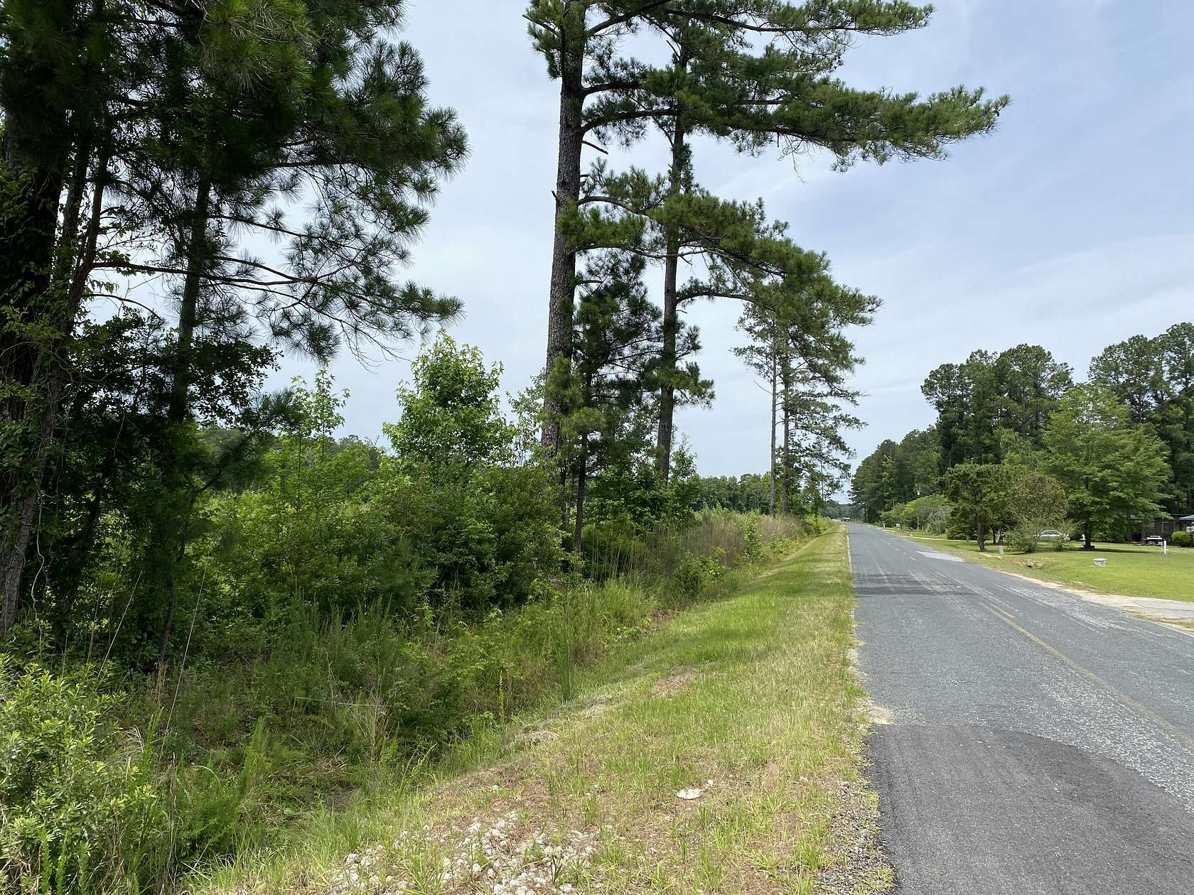 194 Acres of Recreational Land for Sale in Bishopville, South Carolina