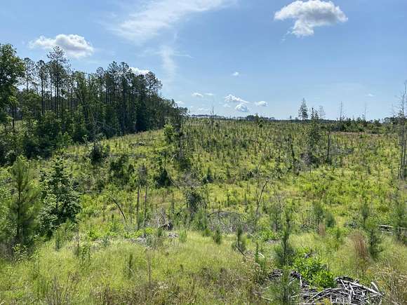 275 Acres of Recreational Land for Sale in Jenkinsville, South Carolina