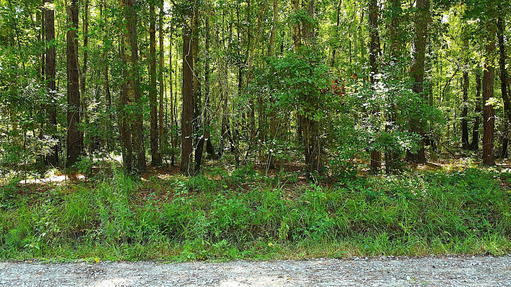 258 Acres of Recreational Land for Sale in Yemassee, South Carolina