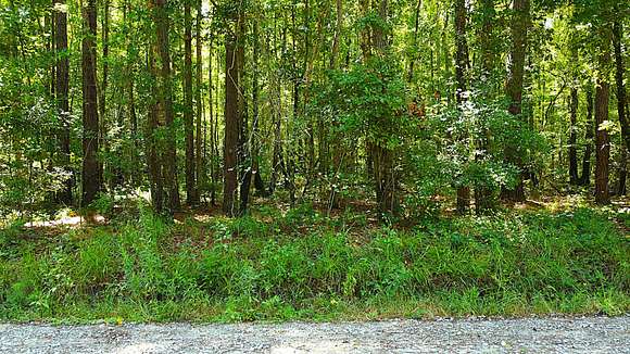 258 Acres of Recreational Land for Sale in Yemassee, South Carolina