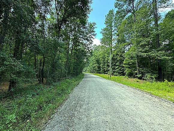 38 Acres of Recreational Land for Sale in Yemassee, South Carolina