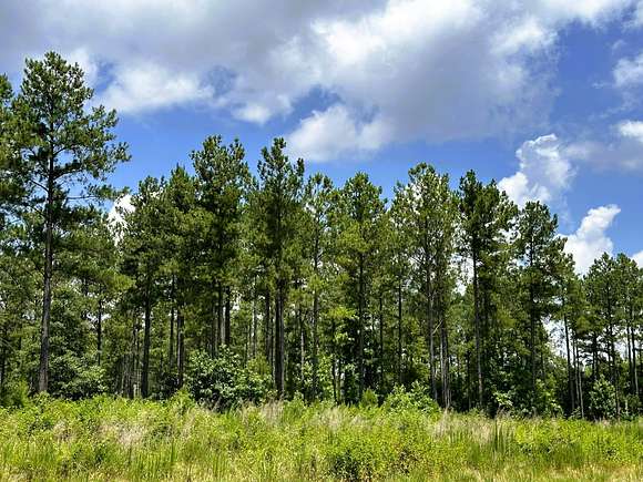 279 Acres of Land for Sale in Hodges, South Carolina