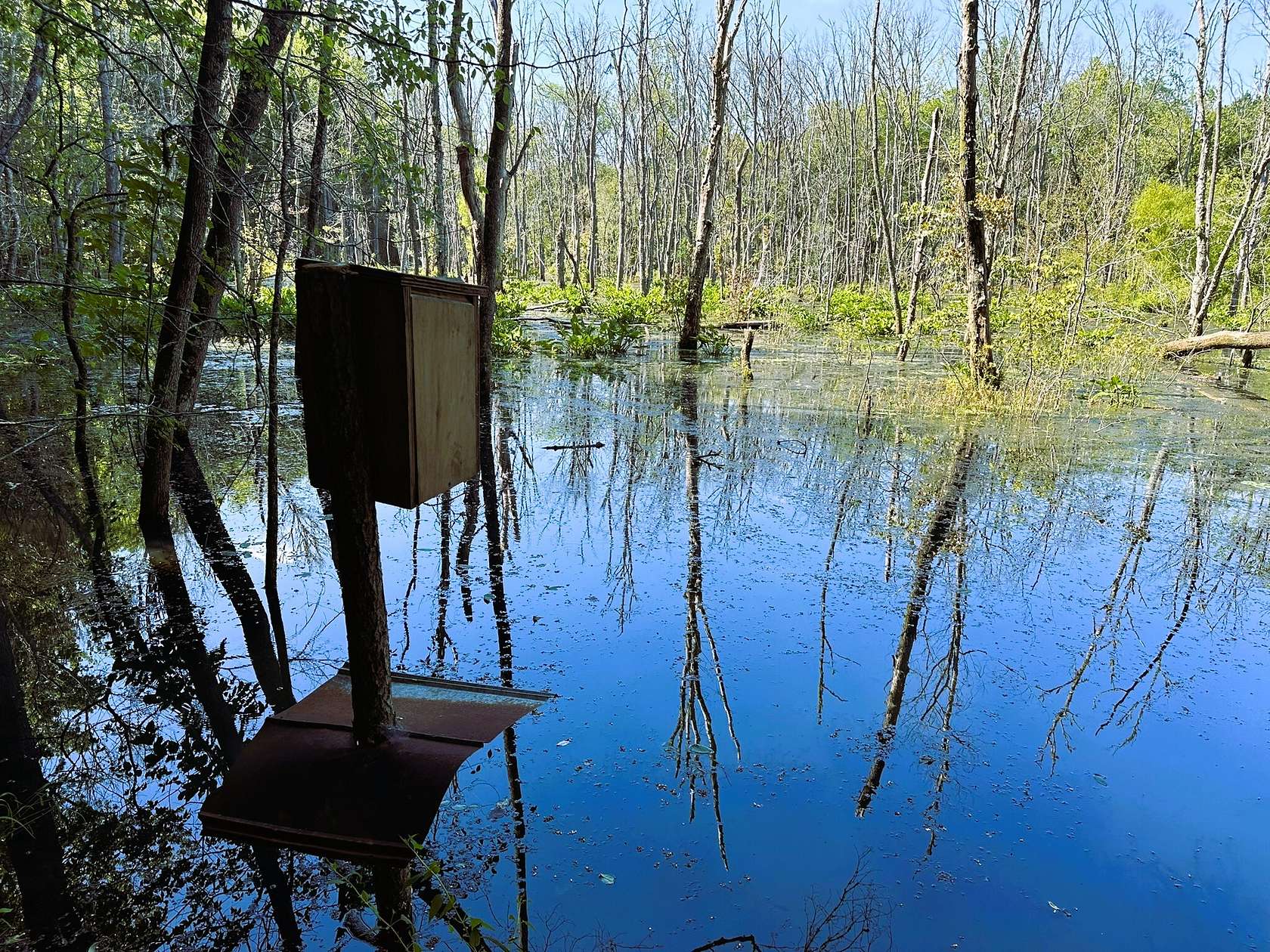 241 Acres of Recreational Land for Sale in Jonesville, South Carolina