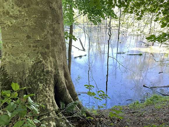 241 Acres of Land for Sale in Jonesville, South Carolina