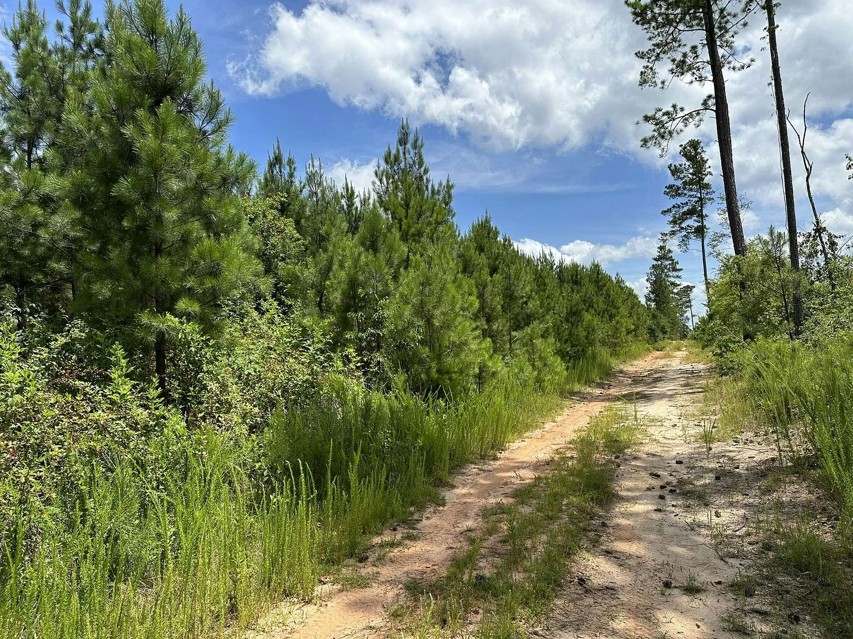 36 Acres of Land for Sale in Due West, South Carolina