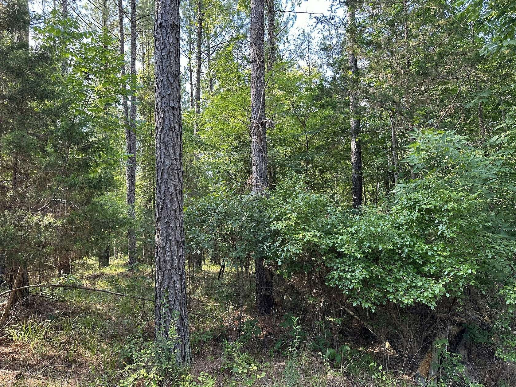 213 Acres of Recreational Land for Sale in Lockhart, South Carolina