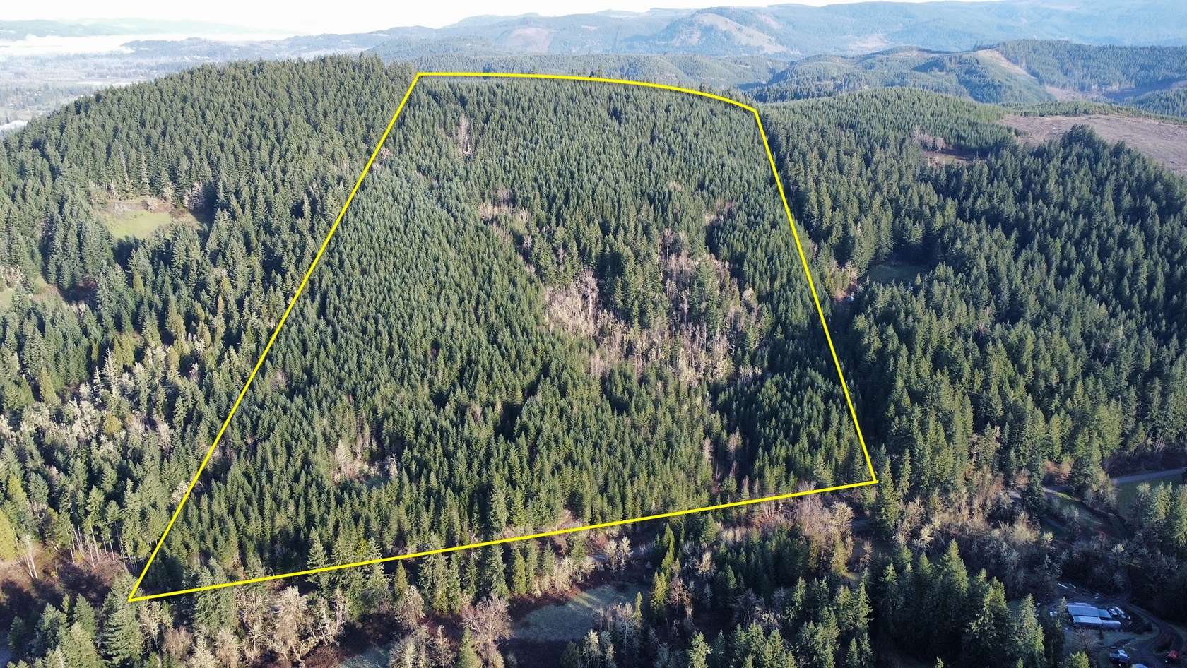 70.6 Acres of Recreational Land for Sale in Cottage Grove, Oregon
