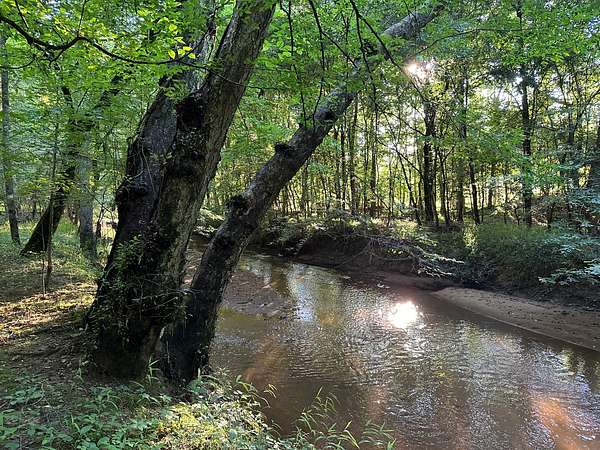 299 Acres of Recreational Land for Sale in Due West, South Carolina