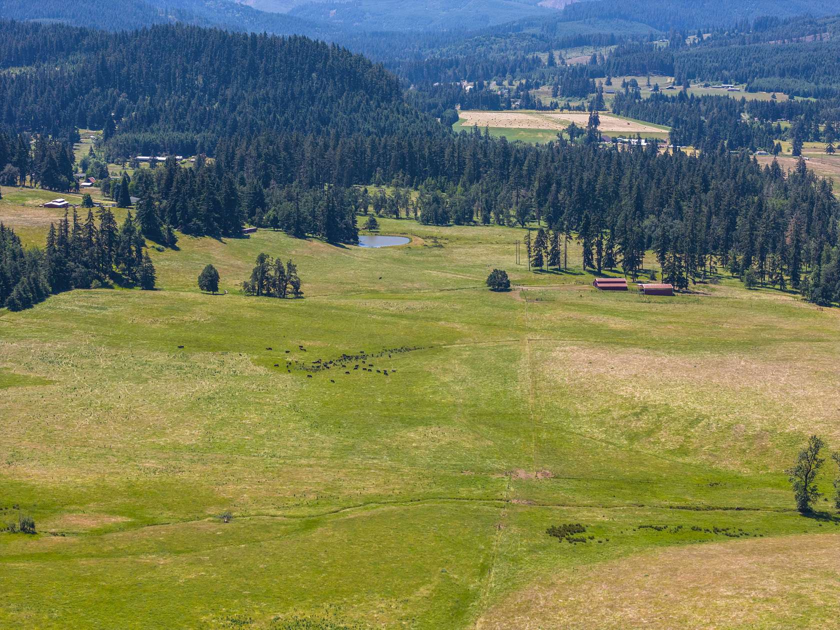 223 Acres of Recreational Land for Sale in Cottage Grove, Oregon