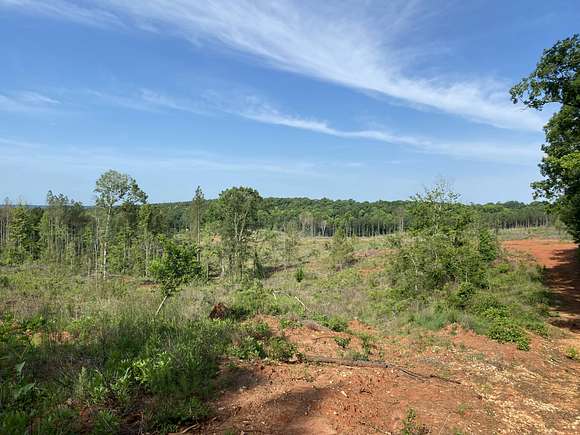 470 Acres of Recreational Land for Sale in Jenkinsville, South Carolina