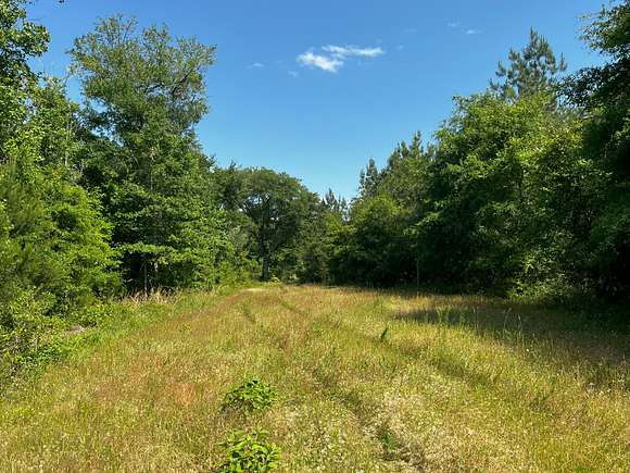 444.75 Acres of Recreational Land for Sale in Gordon, Alabama