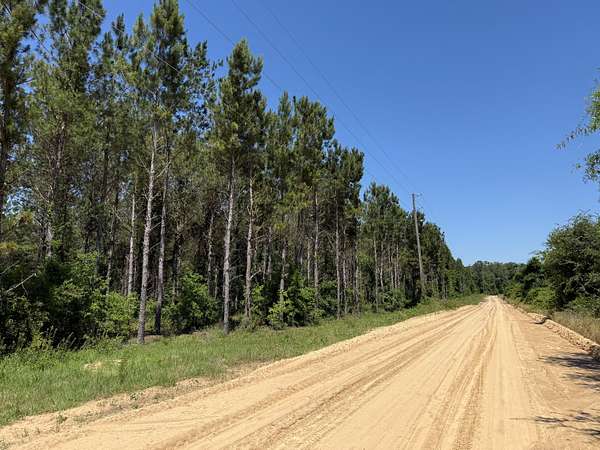99.5 Acres of Recreational Land for Sale in Colquitt, Georgia