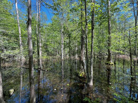 210.5 Acres of Recreational Land for Sale in Colquitt, Georgia