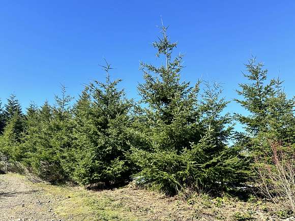 40 Acres of Recreational Land for Sale in Scappoose, Oregon