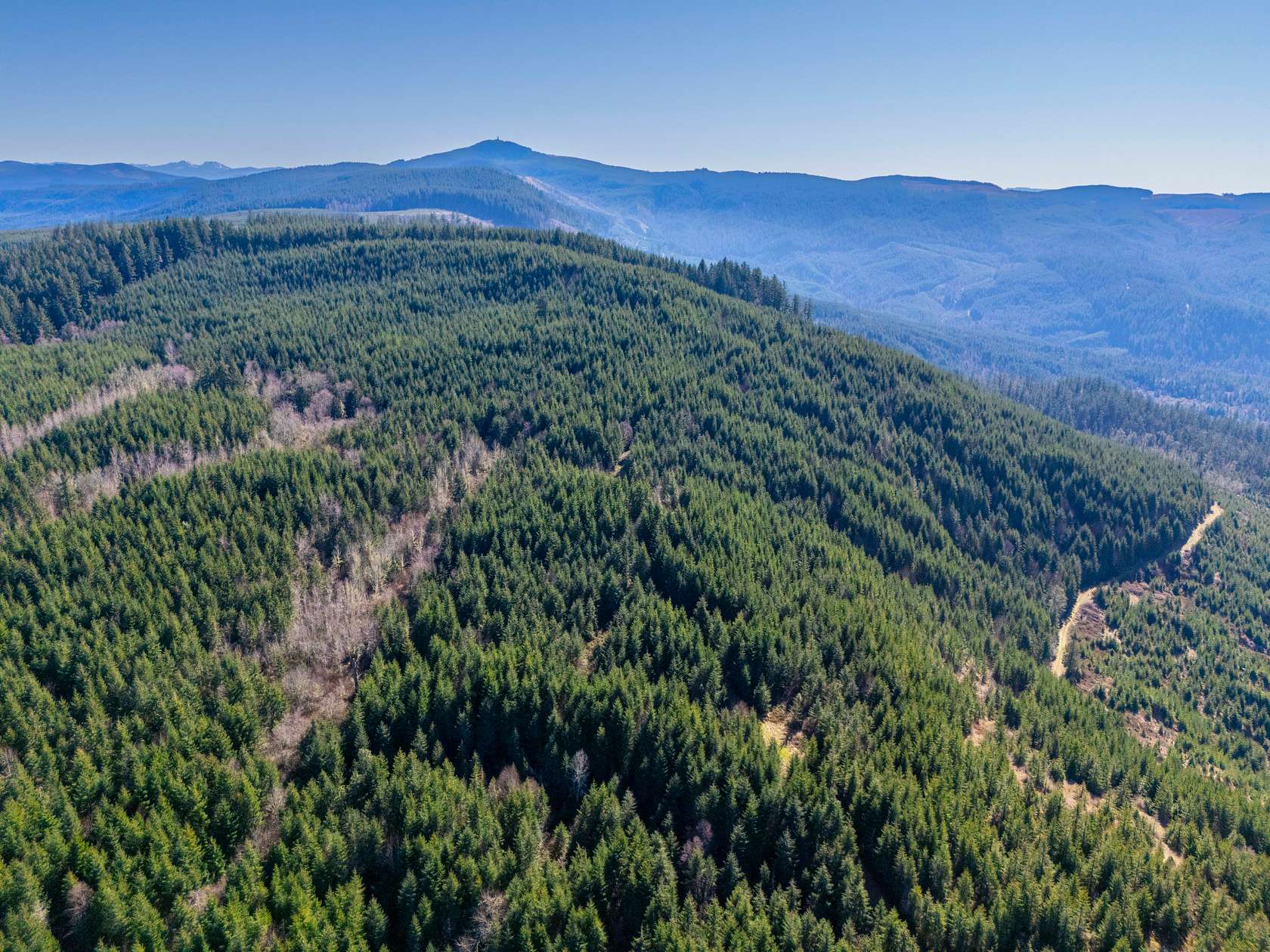 380 Acres of Recreational Land for Sale in Creswell, Oregon