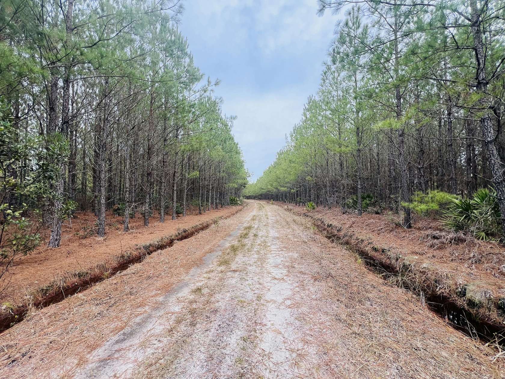 1,018 Acres of Recreational Land for Sale in Jesup, Georgia