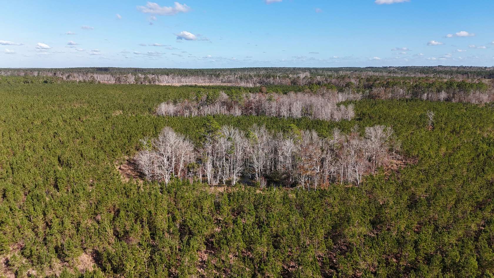 98.2 Acres of Recreational Land for Sale in McRae, Georgia