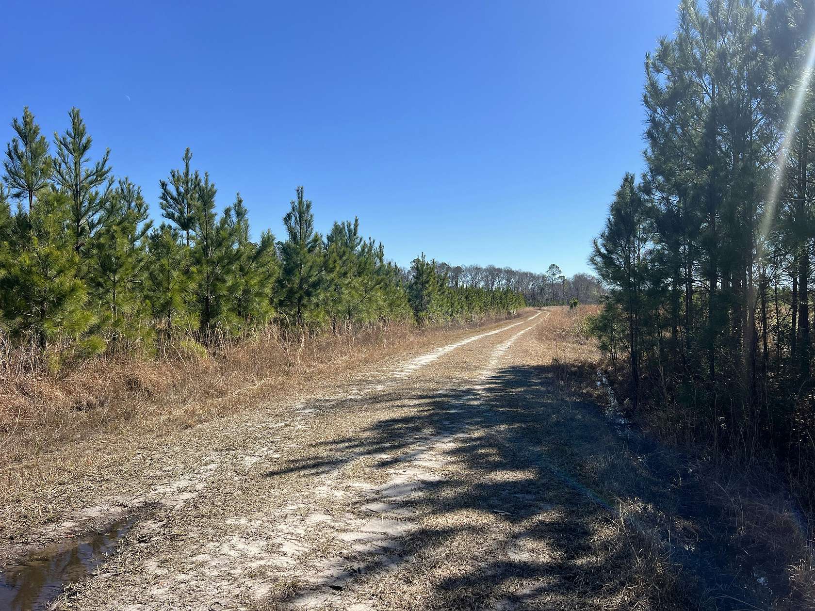 1,124 Acres of Recreational Land for Sale in McRae, Georgia