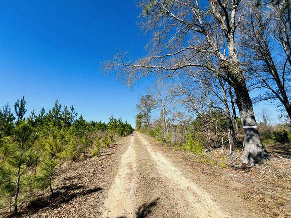 247 Acres of Recreational Land for Sale in McRae, Georgia