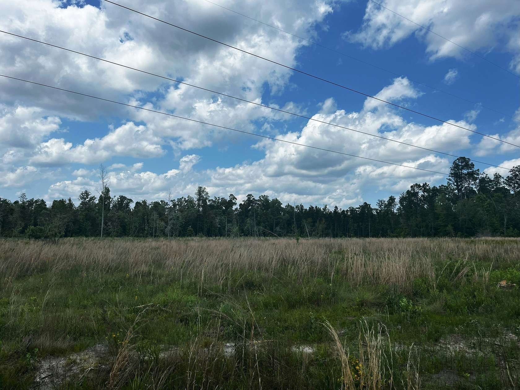 79 Acres of Recreational Land & Farm for Sale in Sneads, Florida