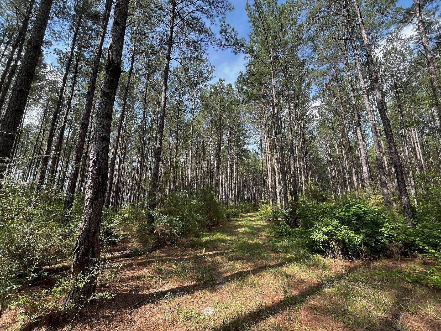 1,089 Acres of Recreational Land for Sale in Bonifay, Florida