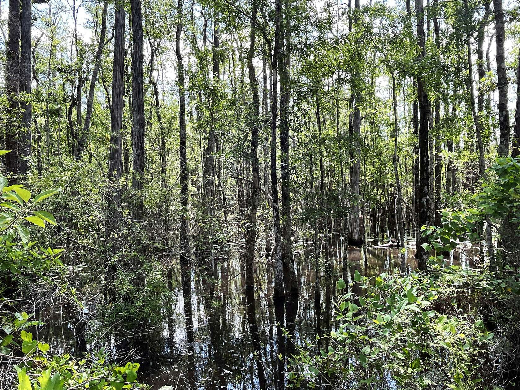 1,089 Acres of Recreational Land for Sale in Bonifay, Florida