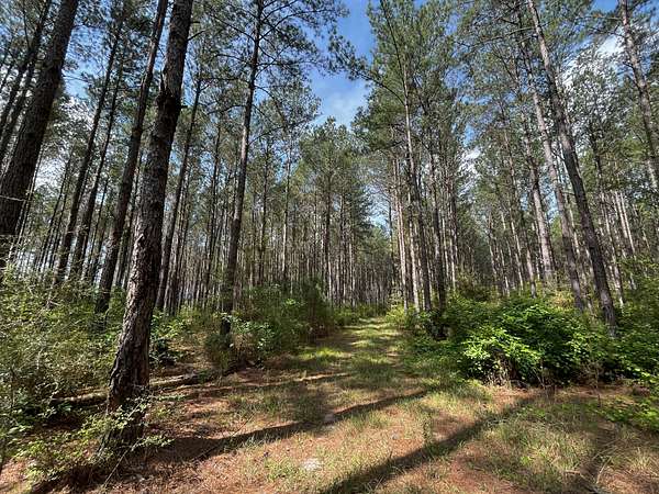 1,082 Acres of Recreational Land for Sale in Bonifay, Florida