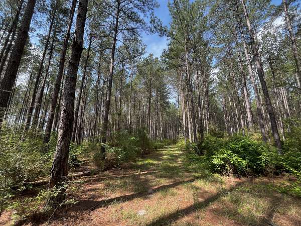 1,082 Acres of Recreational Land for Sale in Bonifay, Florida