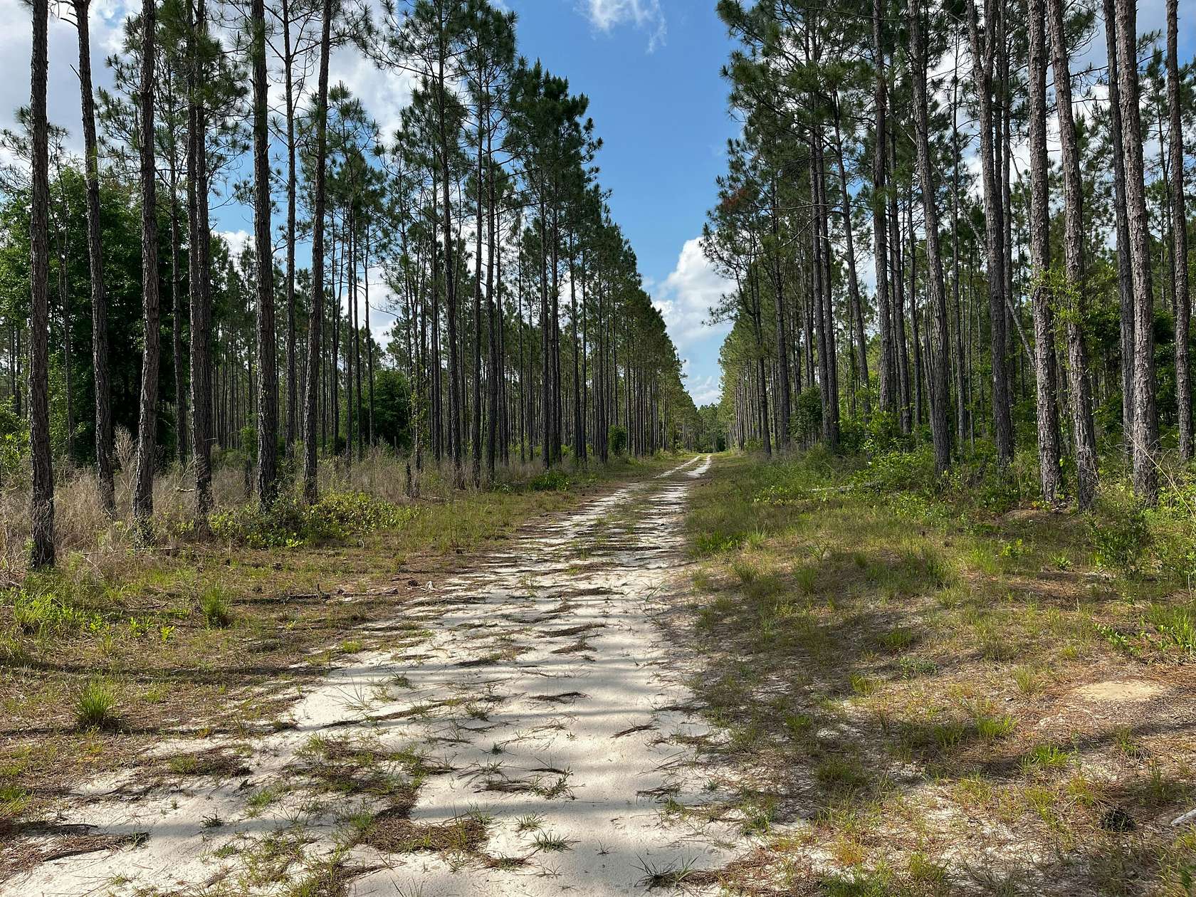 337.08 Acres of Recreational Land & Farm for Sale in Quincy, Florida