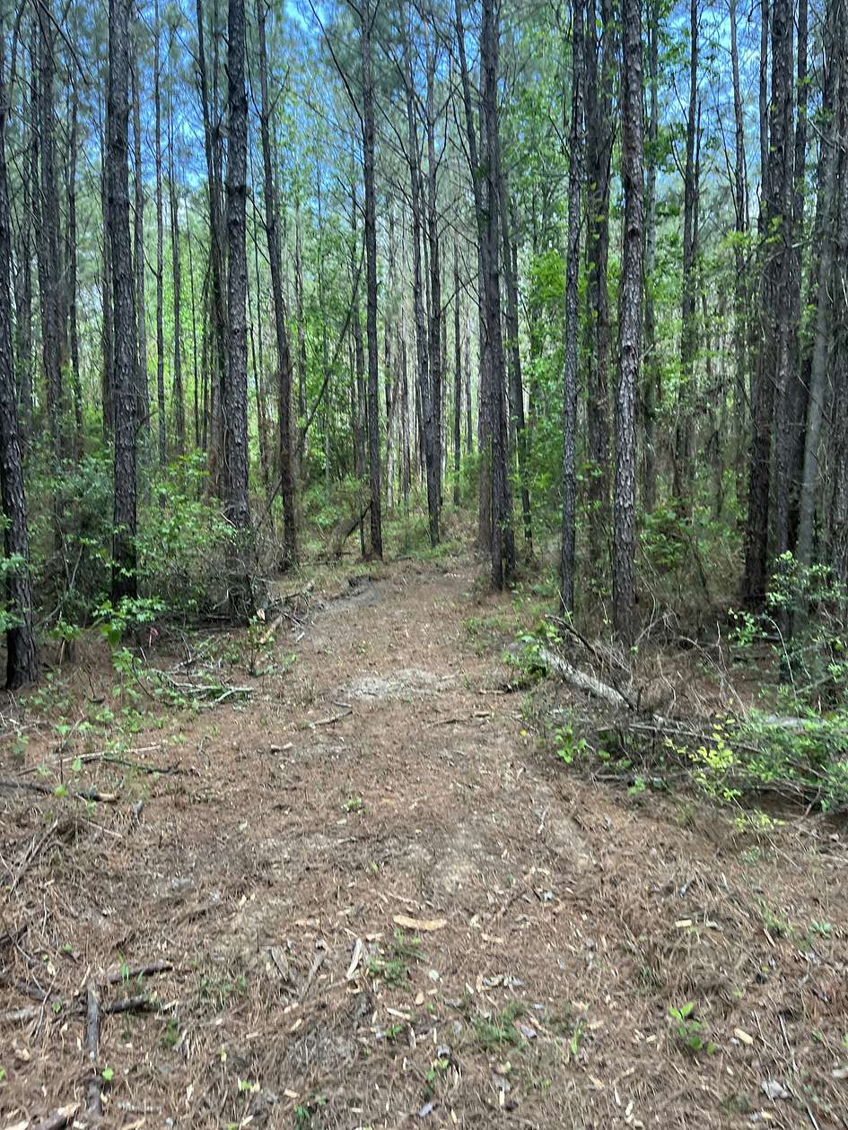 21.7 Acres of Recreational Land for Sale in Elizabeth, Louisiana