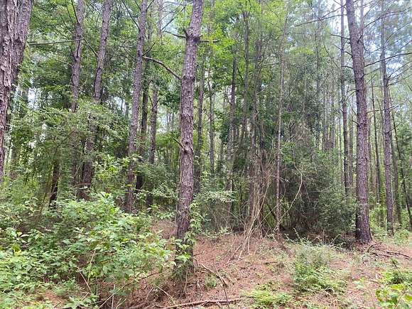 21.71 Acres of Recreational Land for Sale in Elizabeth, Louisiana