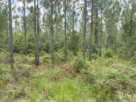 20.4 Acres of Recreational Land for Sale in Elizabeth, Louisiana