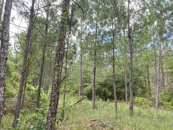 13.6 Acres of Land for Sale in Elizabeth, Louisiana