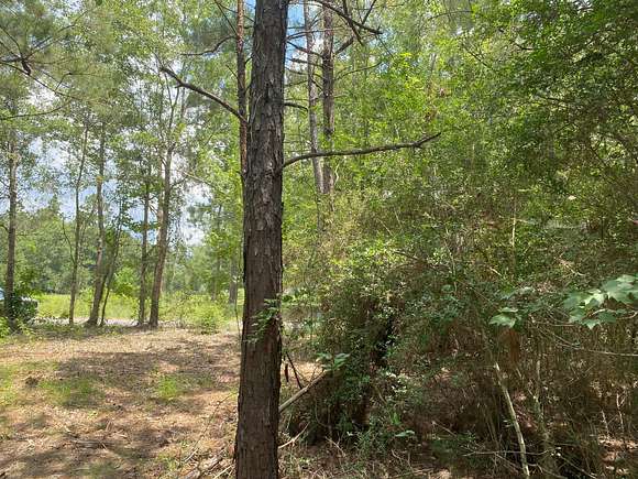 21 Acres of Recreational Land for Sale in Elizabeth, Louisiana