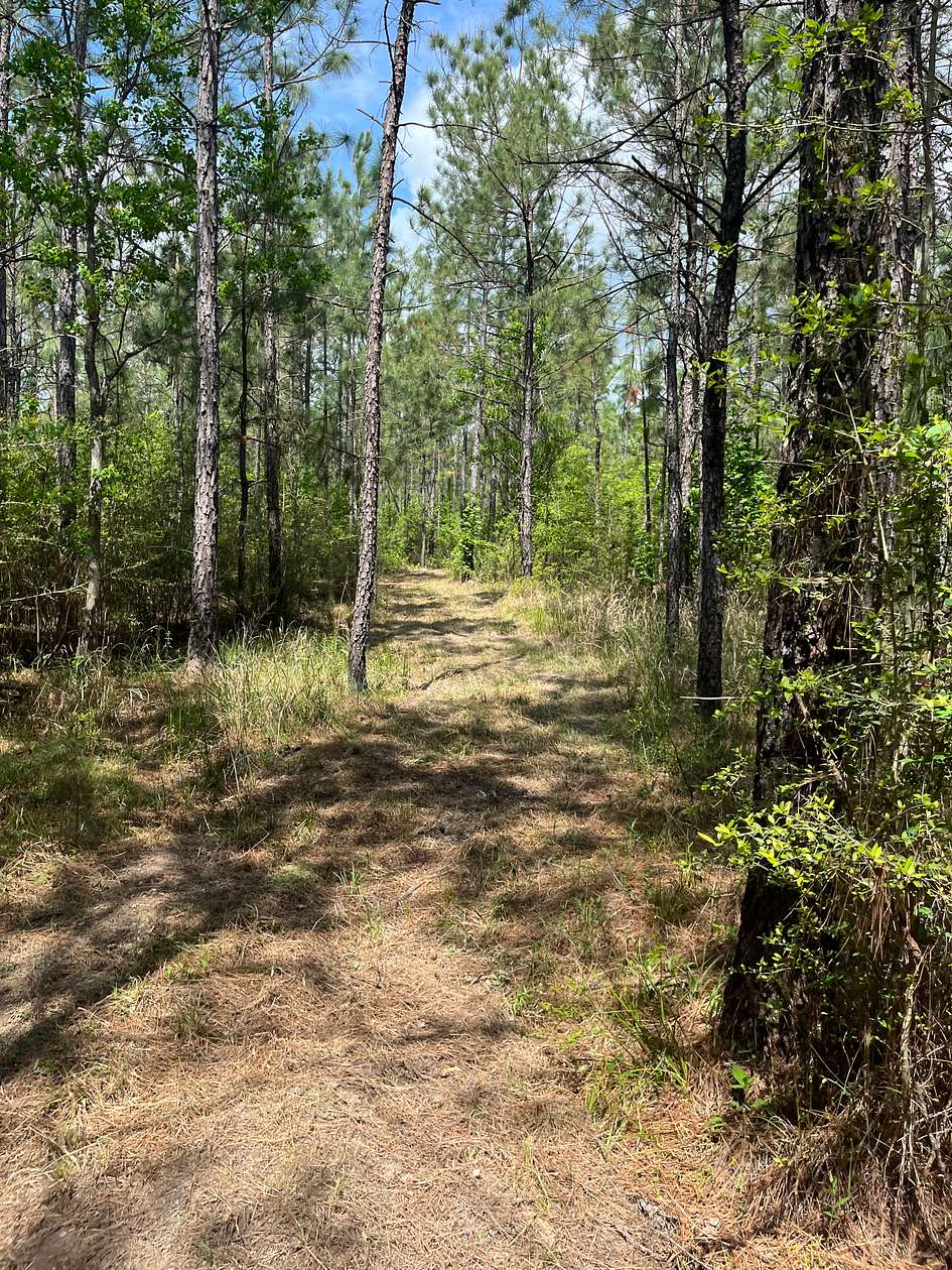 13.4 Acres of Recreational & Residential Land for Sale in Elizabeth, Louisiana