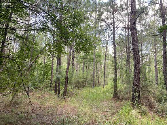 13.4 Acres of Land for Sale in Elizabeth, Louisiana