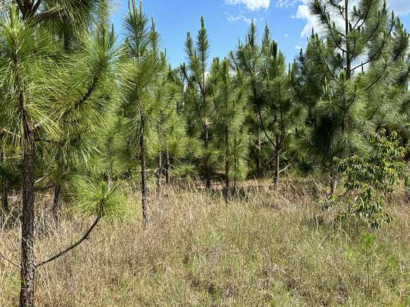 165 Acres of Recreational Land for Sale in Laurinburg, North Carolina