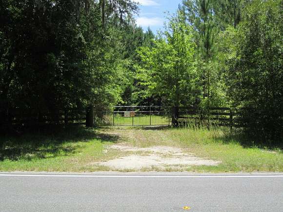 81.9 Acres of Recreational Land for Sale in Gainesville, Florida