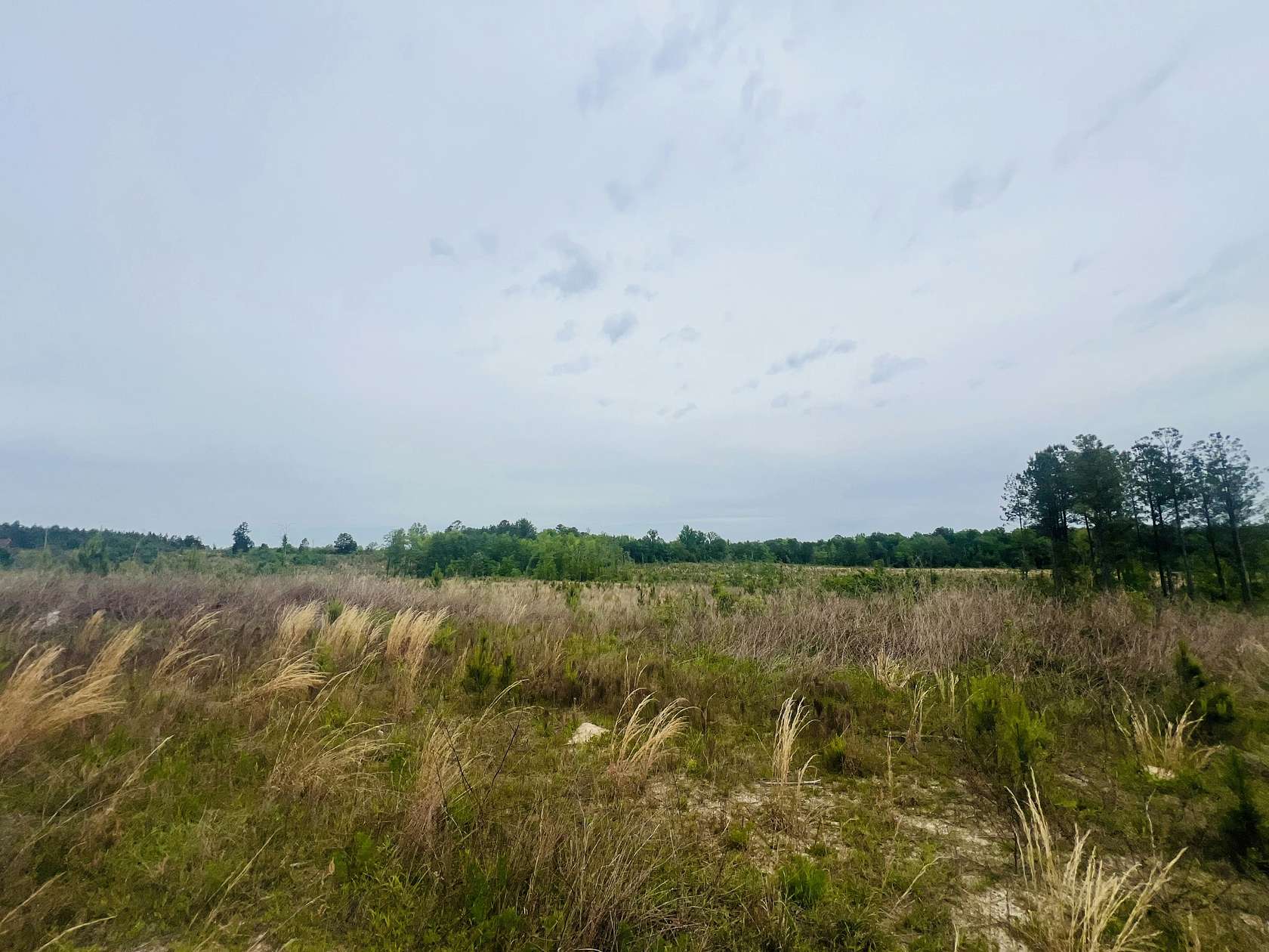 60 Acres of Recreational Land for Sale in Dublin, Georgia