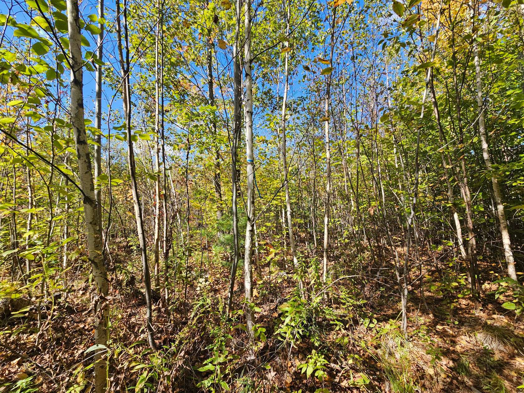 7.7 Acres of Residential Land for Sale in Auburn, Maine