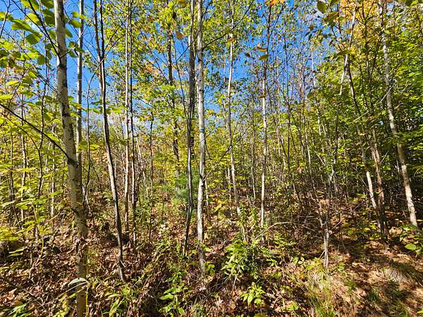 7.7 Acres of Residential Land for Sale in Auburn, Maine