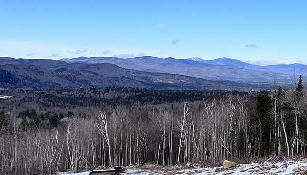 73 Acres of Land for Sale in Peru, Maine