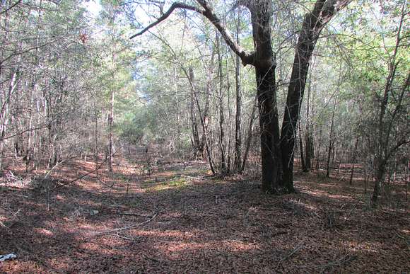 117.64 Acres of Land for Sale in Saint Charles, South Carolina