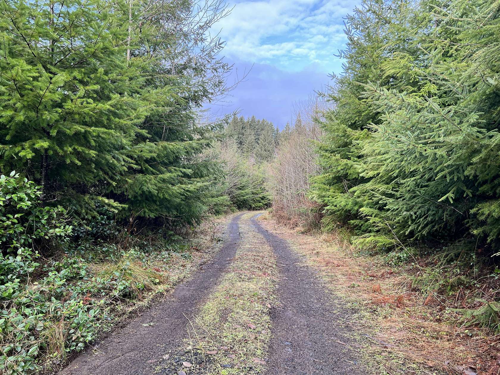 64.8 Acres of Recreational Land for Sale in Cosmopolis, Washington