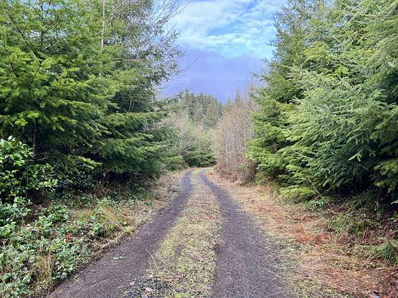 64.8 Acres of Recreational Land for Sale in Cosmopolis, Washington