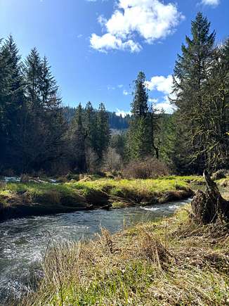 39.55 Acres of Recreational Land for Sale in Alsea, Oregon